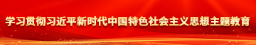 操骚妇456学习贯彻习近平新时代中国特色社会主义思想主题教育